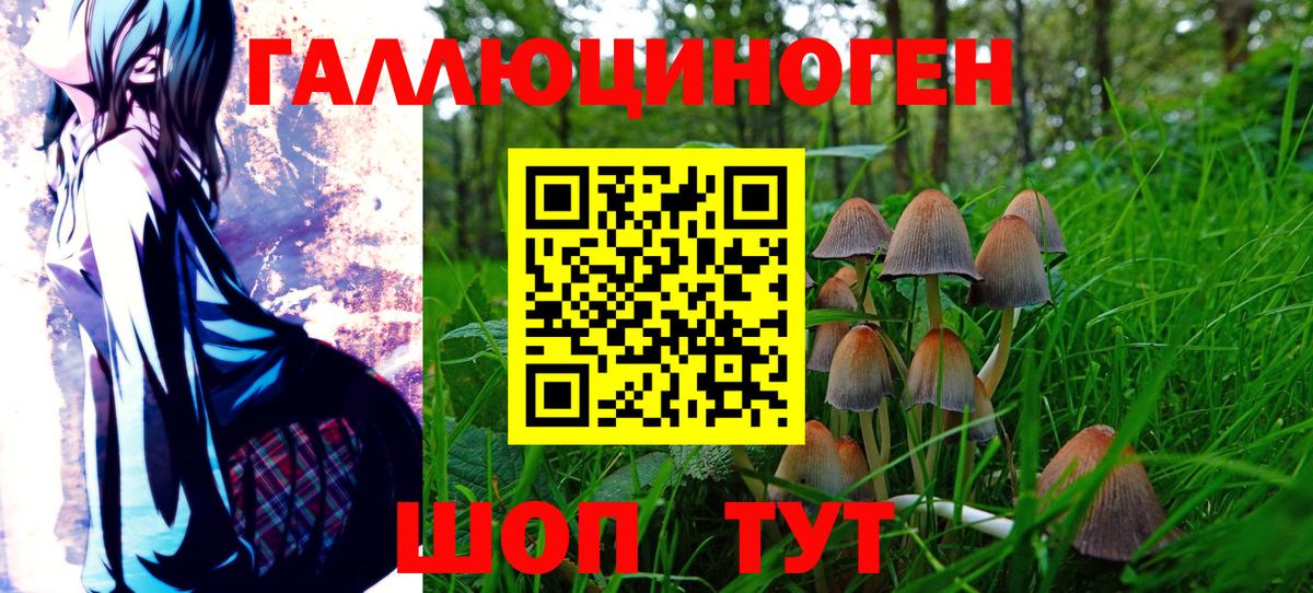 Псилоцибиновые грибы мицелий  Вход с VPN  Галлюциногенные грибы GOLDEN TEACHER  Орёл 
