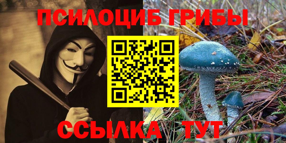 Галлюциногенные грибы мухоморы Орёл